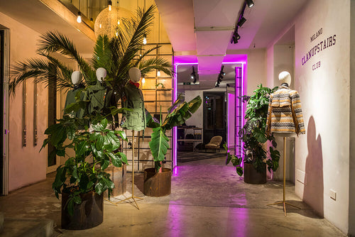 CLAN UPSTAIRS meets BAZAR DELUXE