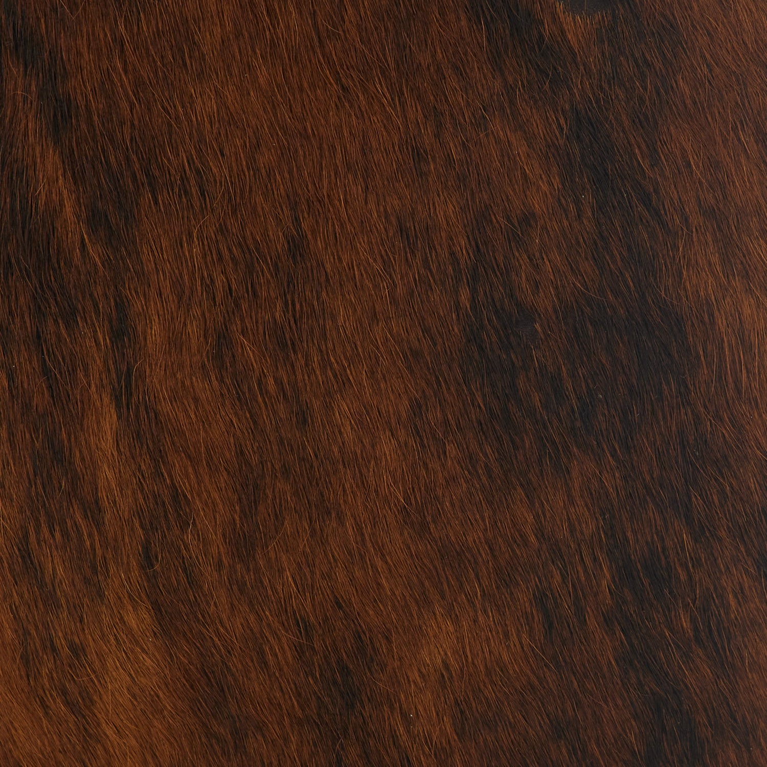 GIANNA BROWN COWHIDE shoulder bag by Campomaggi